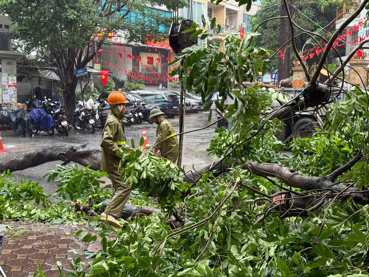 Hà Nội mưa kéo dài, cây cổ thụ lại bật gốc đè bẹp 2 ô tô- Ảnh 4.