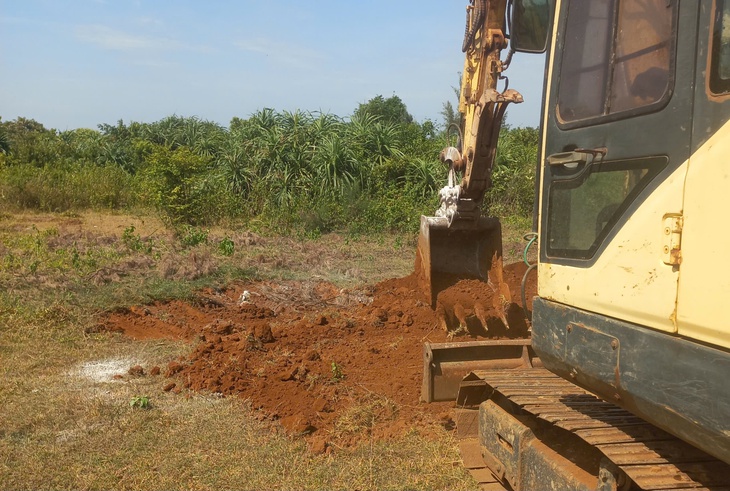 Dịch tả lợn châu Phi bùng phát, Quảng Trị siết chặt việc giết mổ, vận chuyển- Ảnh 1.
