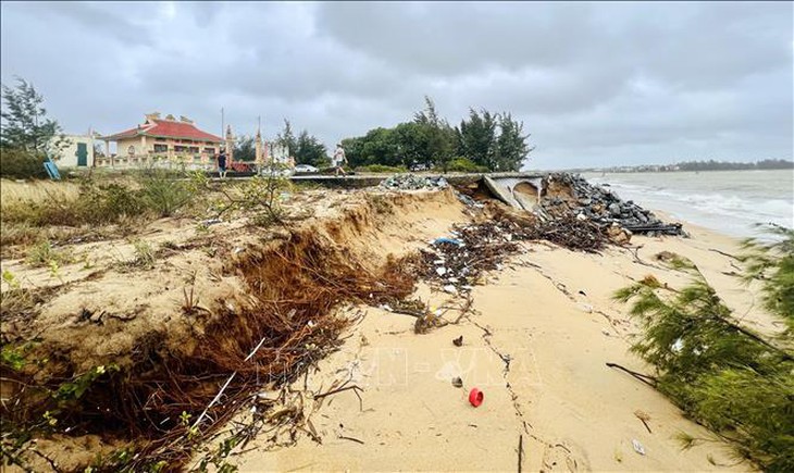 Bờ biển Quảng Trị sạt lở nghiêm trọng, hàng trăm hộ dân thấp thỏm trong mùa mưa bão- Ảnh 3. Bờ biển Quảng Trị sạt lở nghiêm trọng, hàng trăm hộ dân thấp thỏm trong mùa mưa bão- Ảnh 3.