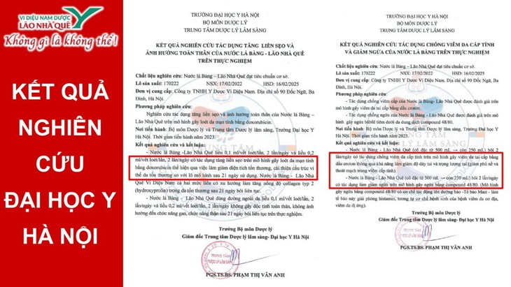 Bệnh tay chân miệng ở trẻ và cách hỗ trợ chăm sóc từ thảo dược tự nhiên- Ảnh 2.