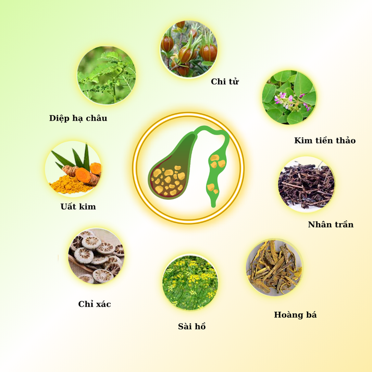 Viêm túi mật và các phương pháp kiểm soát hiệu quả- Ảnh 3.