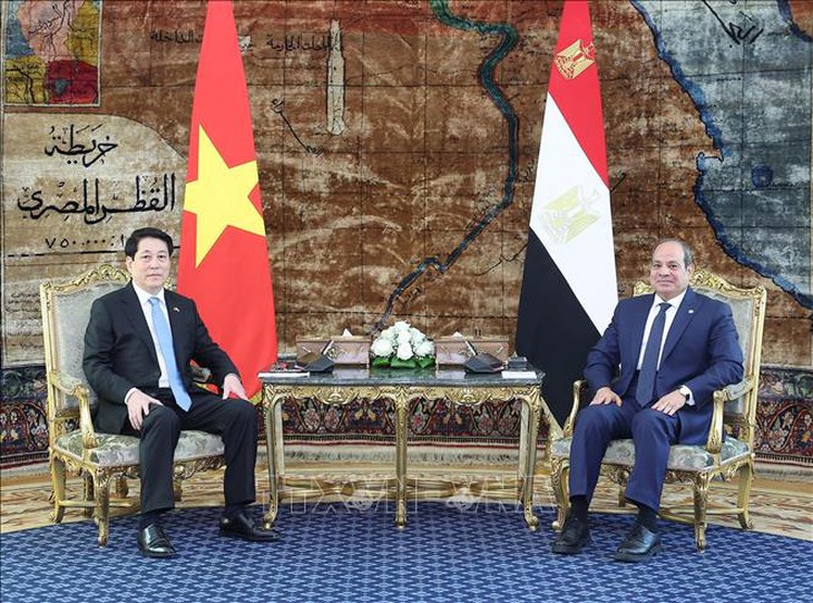 Lễ đón Chủ tịch nước Lương Cường thăm cấp Nhà nước Cộng hòa Arab Ai Cập- Ảnh 6.