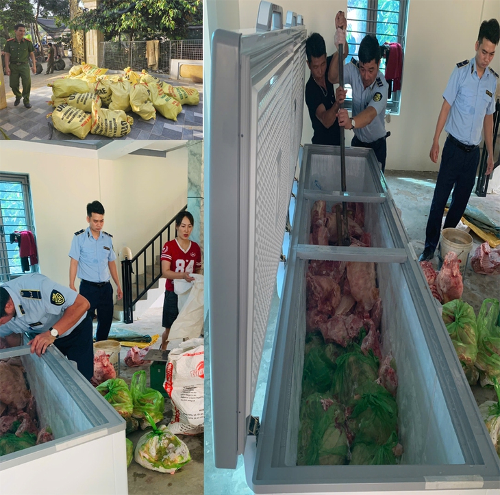 Mua hơn 1,6 tấn lợn nhiễm dịch tả lợn châu Phi để bán- Ảnh 1.