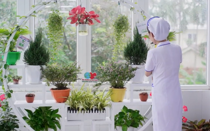 Phát động cuộc thi ảnh và video về du lịch Khánh Hòa- Ảnh 2.