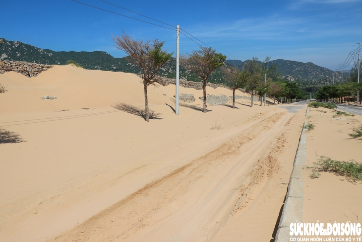 'Núi cát' tràn ra giữa đường ven biển ở Khánh Hoà- Ảnh 1. 'Núi cát' tràn ra giữa đường ven biển ở Khánh Hoà- Ảnh 1.