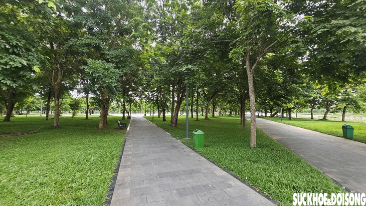 Dự án chỉnh trang cồn Dã Viên trên sông Hương hiện ra sao?- Ảnh 1. Dự án chỉnh trang cồn Dã Viên trên sông Hương hiện ra sao?- Ảnh 1.