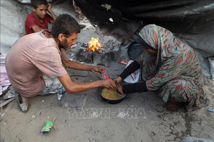 WHO cảnh báo trật tự xã hội tại Dải Gaza đang sụp đổ- Ảnh 1.