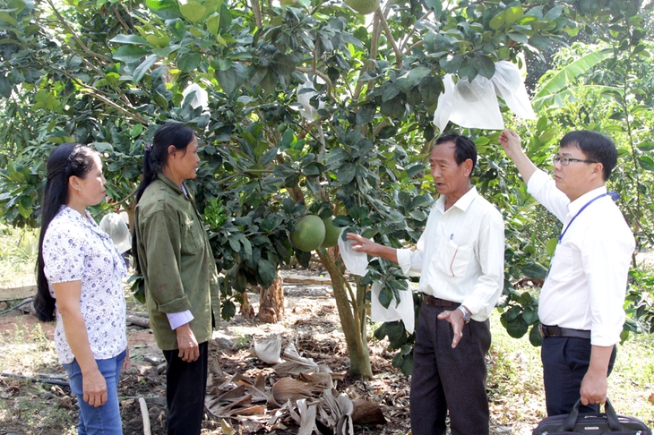 Khánh Hòa: Người đàn ông 'dựng cơ nghiệp' từ 50 triệu đồng vốn chính sách- Ảnh 1.