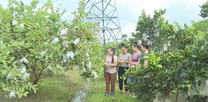Điện Biên linh hoạt trong thực hiện chính sách để giảm nghèo bền vững, hạn chế tái nghèo- Ảnh 1.