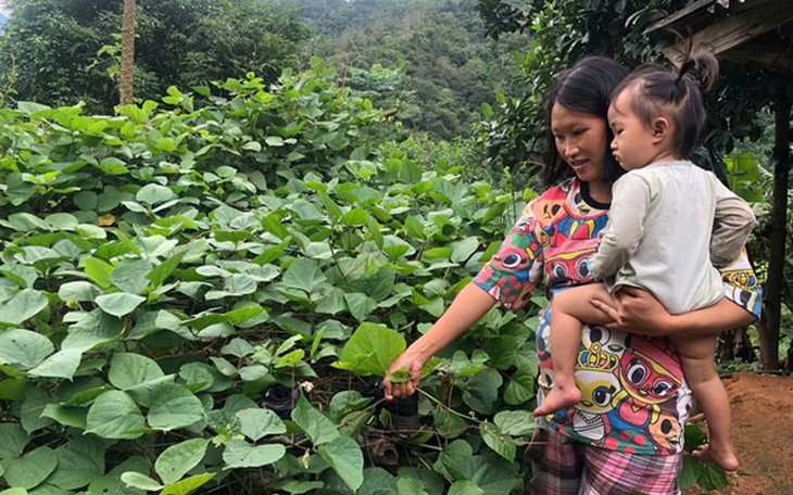 Dinh dưỡng hợp lý trong thai kỳ phòng thiếu máu và bổ sung vi chất cho mẹ và bé