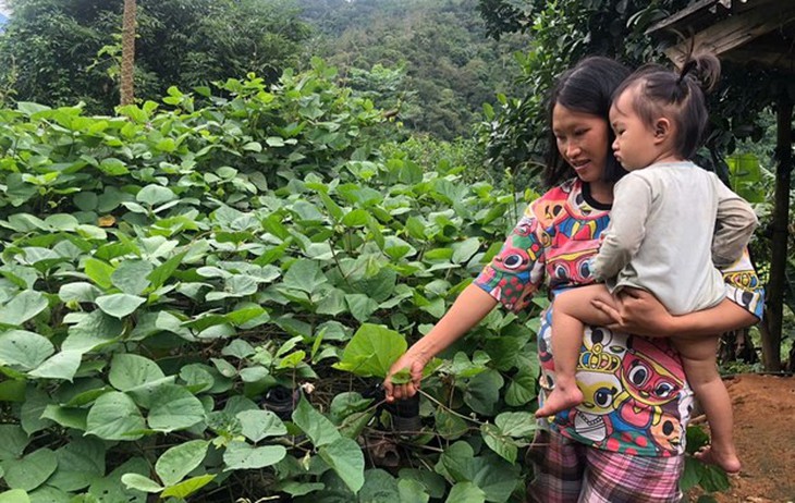 Dinh dưỡng hợp lý trong thai kỳ phòng thiếu máu và bổ sung vi chất cho mẹ và bé- Ảnh 2.
