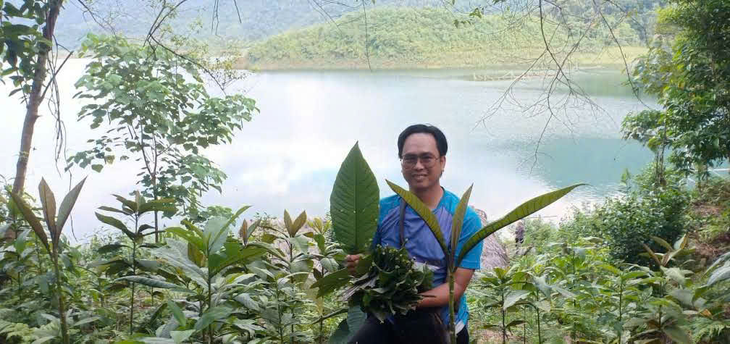 Khai thác và bảo tồn dược liệu dưới tán rừng: Hướng đi bền vững, tạo sinh kế cho người dân- Ảnh 1. Khai thác và bảo tồn dược liệu dưới tán rừng: Hướng đi bền vững, tạo sinh kế cho người dân- Ảnh 1.