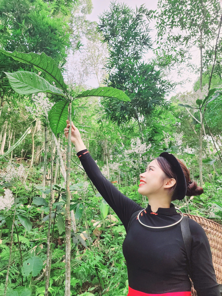 Khai thác và bảo tồn dược liệu dưới tán rừng: Hướng đi bền vững, tạo sinh kế cho người dân- Ảnh 2. Khai thác và bảo tồn dược liệu dưới tán rừng: Hướng đi bền vững, tạo sinh kế cho người dân- Ảnh 2.