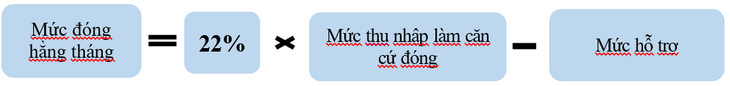 Mức đóng và phương thức đóng BHXH tự nguyện theo Luật mới- Ảnh 2.