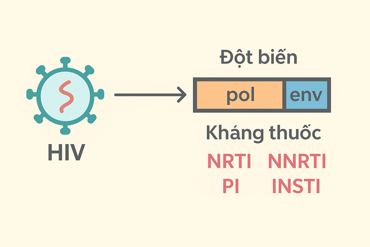 Hiểu đúng về kháng thuốc HIV và cách phòng ngừa- Ảnh 1.