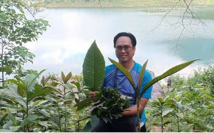 Khai thác và bảo tồn dược liệu dưới tán rừng: Hướng đi bền vững, tạo sinh kế cho người dân