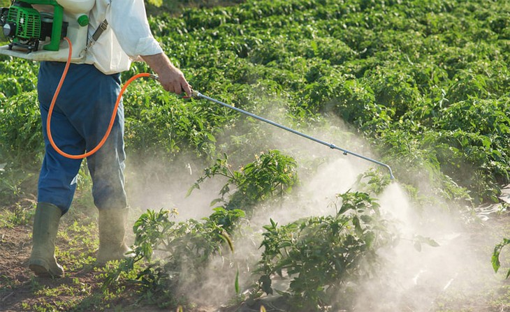 Cảm biến giúp phát hiện nhanh chất siêu độc bị cấm trong thuốc diệt cỏ- Ảnh 2.