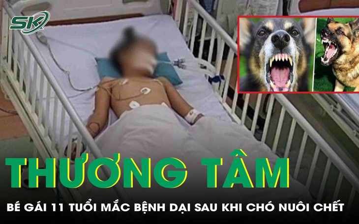 Giải cứu tài xế mắc kẹt trong cabin sau vụ tai nạn lúc rạng sáng tại Đà Nẵng- Ảnh 2.