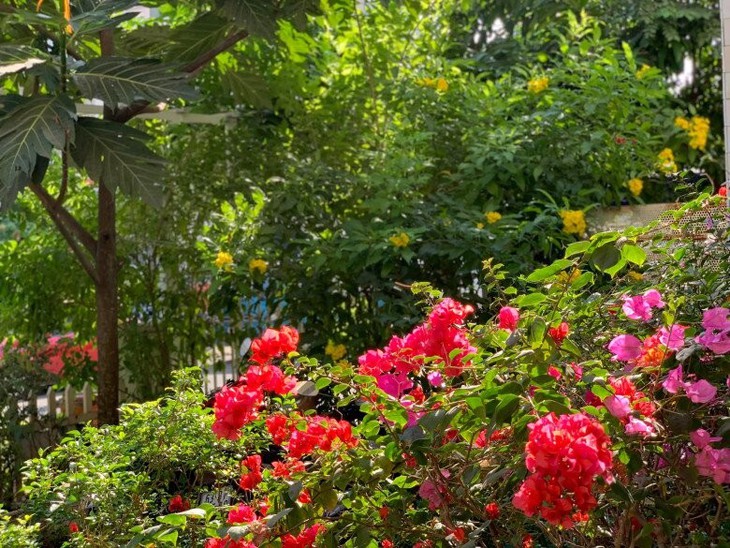 Mẹ Trung úy Quang trong 'Mưa đỏ' ngoài đời có cơ ngơi 4 tầng cực xinh- Ảnh 12. Mẹ Trung úy Quang trong 'Mưa đỏ' ngoài đời có cơ ngơi 4 tầng cực xinh- Ảnh 12.