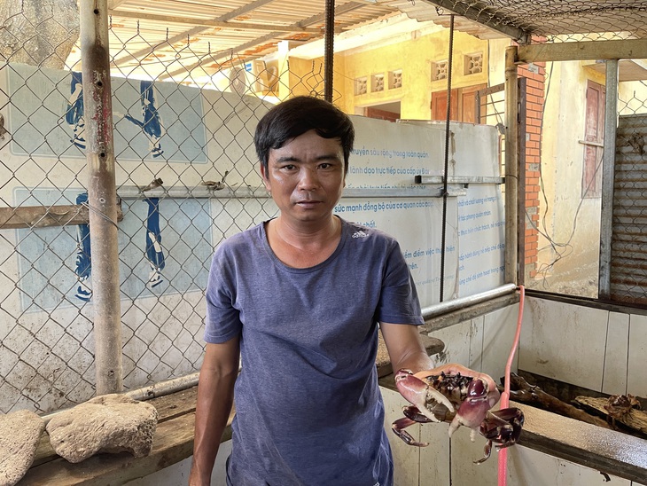 Cận cảnh loài cua quý hiếm trên đảo Cồn Cỏ, bị cấm săn bắt hơn 20 năm nay- Ảnh 9. Cận cảnh loài cua quý hiếm trên đảo Cồn Cỏ, bị cấm săn bắt hơn 20 năm nay- Ảnh 9.