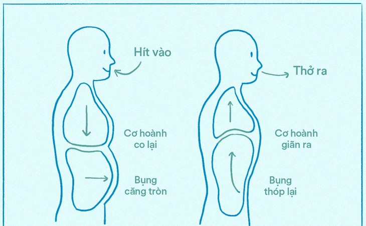 Cách dưỡng sinh giúp cơ thể khỏe mạnh, tinh thần thư thái trong mùa thu- Ảnh 1.