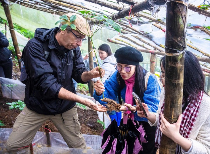 Phát triển dược liệu gắn với du lịch sinh thái: Mô hình kinh tế xanh cho vùng miền núi- Ảnh 3.