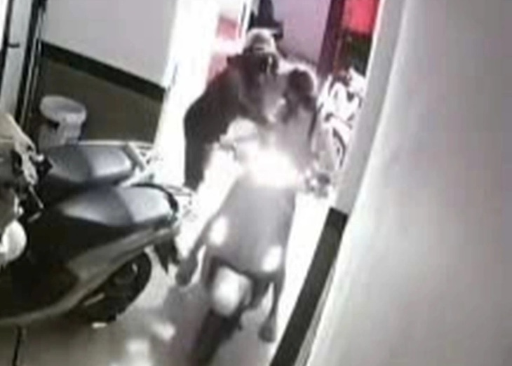 Truy tìm đối tượng sàm sỡ rồi giật túi xách của cô gái tại chung cư mini ở Hà Nội- Ảnh 1. Truy tìm đối tượng sàm sỡ rồi giật túi xách của cô gái tại chung cư mini ở Hà Nội- Ảnh 1.