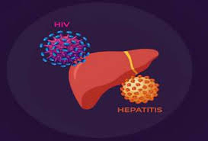 Điều trị đồng nhiễm HIV và viêm gan C, giúp giảm tổn thương gan- Ảnh 1.