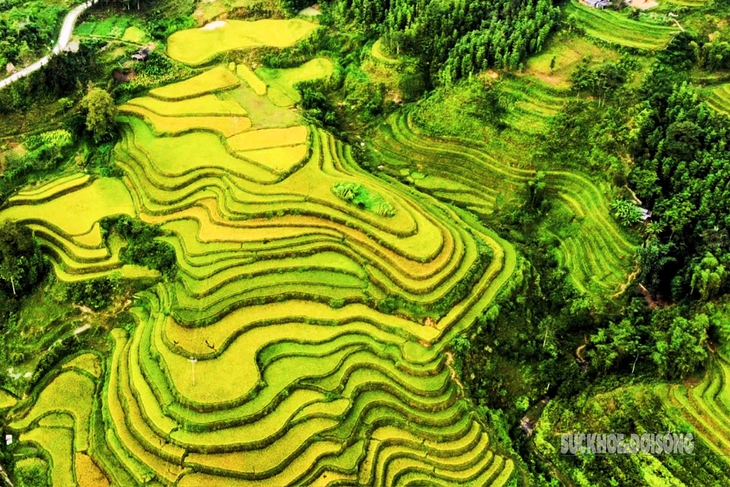 Mùa vàng Hoàng Su Phì bình yên giữa non cao Tây Côn Lĩnh- Ảnh 1.