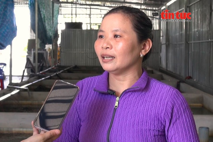 Mô hình nuôi lươn không bùn đem lại hiệu quả kinh tế cao ở Cần Thơ- Ảnh 4.