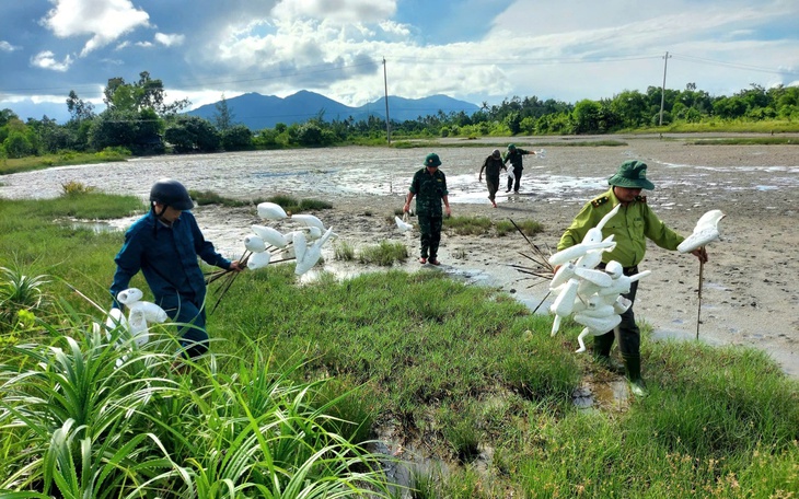 Tháo dỡ "thiên la địa võng", bảo vệ chim hoang dã mùa di cư