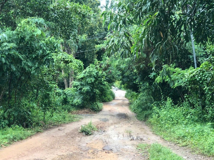 TPHCM: Con trai dùng dao sát hại mẹ, chém chị gái- Ảnh 1.