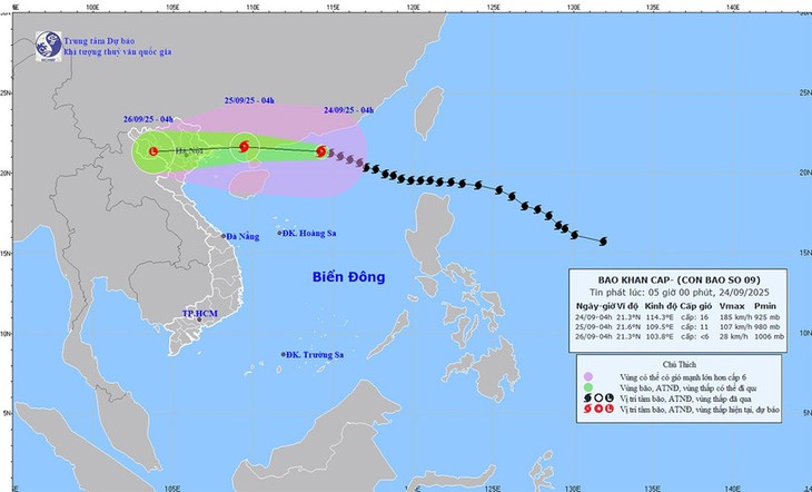 Từ 10h hôm nay, Quảng Ninh tạm ngừng cấp phép tàu hoạt động trên biển- Ảnh 1. Từ 10h hôm nay, Quảng Ninh tạm ngừng cấp phép tàu hoạt động trên biển- Ảnh 1.