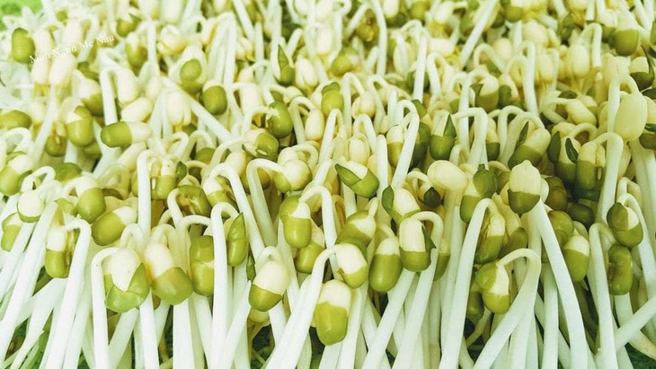 Người bệnh tiểu đường ăn giá đỗ có tốt không?- Ảnh 1.