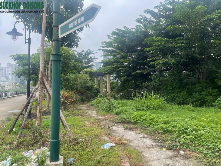 Cỏ dại mọc um tùm tại công viên, hồ điều hòa hơn 700 tỷ đồng ở Hà Nội- Ảnh 6. Cỏ dại mọc um tùm tại công viên, hồ điều hòa hơn 700 tỷ đồng ở Hà Nội- Ảnh 6.