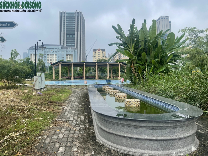Cỏ dại mọc um tùm tại công viên, hồ điều hòa hơn 700 tỷ đồng ở Hà Nội- Ảnh 7. Cỏ dại mọc um tùm tại công viên, hồ điều hòa hơn 700 tỷ đồng ở Hà Nội- Ảnh 7.