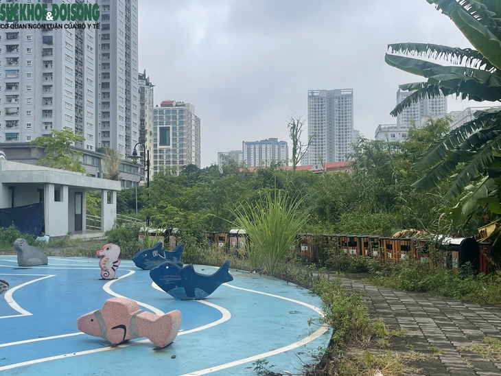 Cỏ dại mọc um tùm tại công viên, hồ điều hòa hơn 700 tỷ đồng ở Hà Nội- Ảnh 8. Cỏ dại mọc um tùm tại công viên, hồ điều hòa hơn 700 tỷ đồng ở Hà Nội- Ảnh 8.
