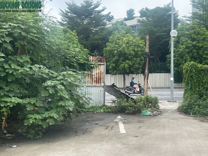 Cỏ dại mọc um tùm tại công viên, hồ điều hòa hơn 700 tỷ đồng ở Hà Nội- Ảnh 9. Cỏ dại mọc um tùm tại công viên, hồ điều hòa hơn 700 tỷ đồng ở Hà Nội- Ảnh 9.