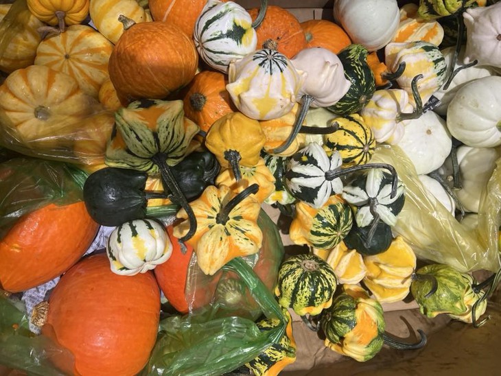 Nhiều người chi tiền triệu săn bí ngô 'độc lạ' về chơi Halloween- Ảnh 1.