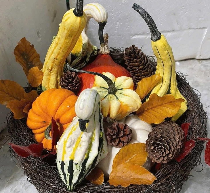 Nhiều người chi tiền triệu săn bí ngô 'độc lạ' về chơi Halloween- Ảnh 3.