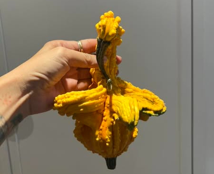 Nhiều người chi tiền triệu săn bí ngô 'độc lạ' về chơi Halloween- Ảnh 2.