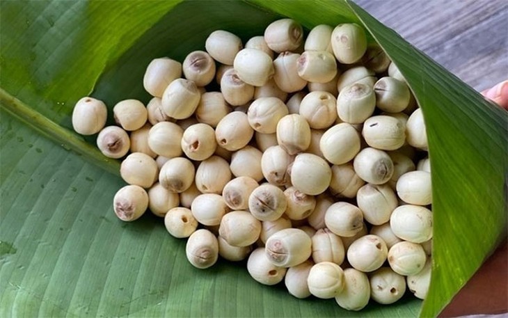 Nguyên lý 'vàng' trong ăn uống dưỡng sinh ở người cao tuổi- Ảnh 1.