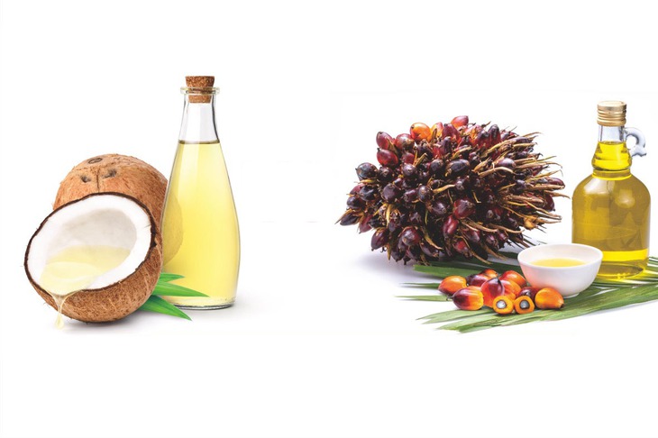 2 loại dầu ăn gây hại cho sức khỏe ít ai ngờ- Ảnh 1.
