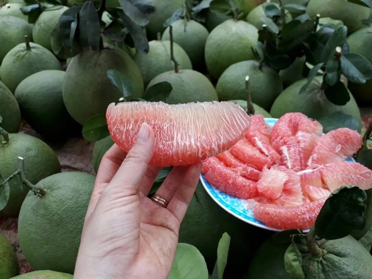 Điểm danh 6 loại bưởi đặc sản làm say lòng người Việt- Ảnh 1.