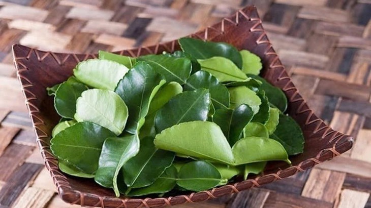 Làm đẹp tóc bằng một loại lá có sẵn trong vườn nhà- Ảnh 1.
