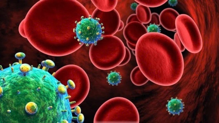 Vai trò của tế bào CD4 trong cơ thể và tác động của HIV- Ảnh 1.