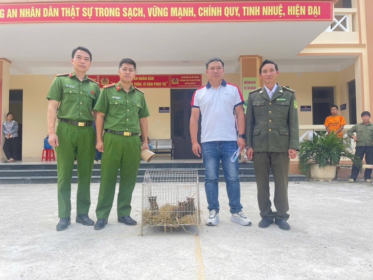 Đi làm nương, phát hiện động vật quý hiếm trong bao tải vứt ven đường- Ảnh 2. Đi làm nương, phát hiện động vật quý hiếm trong bao tải vứt ven đường- Ảnh 2.