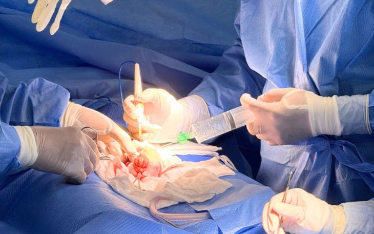 Ô nhiễm không khí âm thầm làm giảm chất lượng tinh trùng ở nam giới- Ảnh 3.