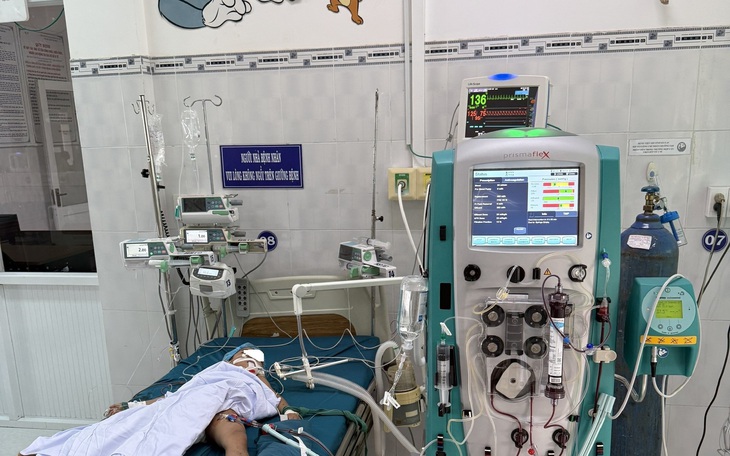 3 trẻ bị ong đốt, 1 cháu tử vong