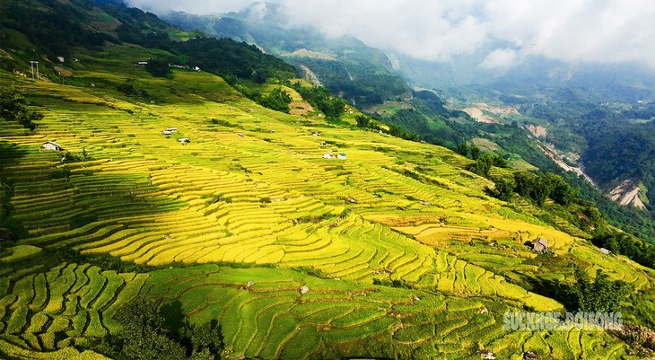 Mùa vàng Y Tý - Tuyệt tác thiên nhiên giữa đại ngàn Tây Bắc- Ảnh 1.
